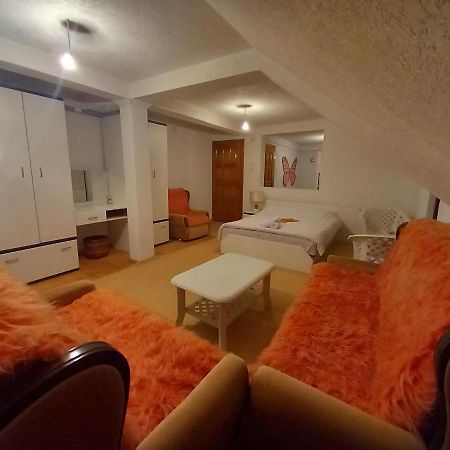 Apartment Little Village プラヴ エクステリア 写真