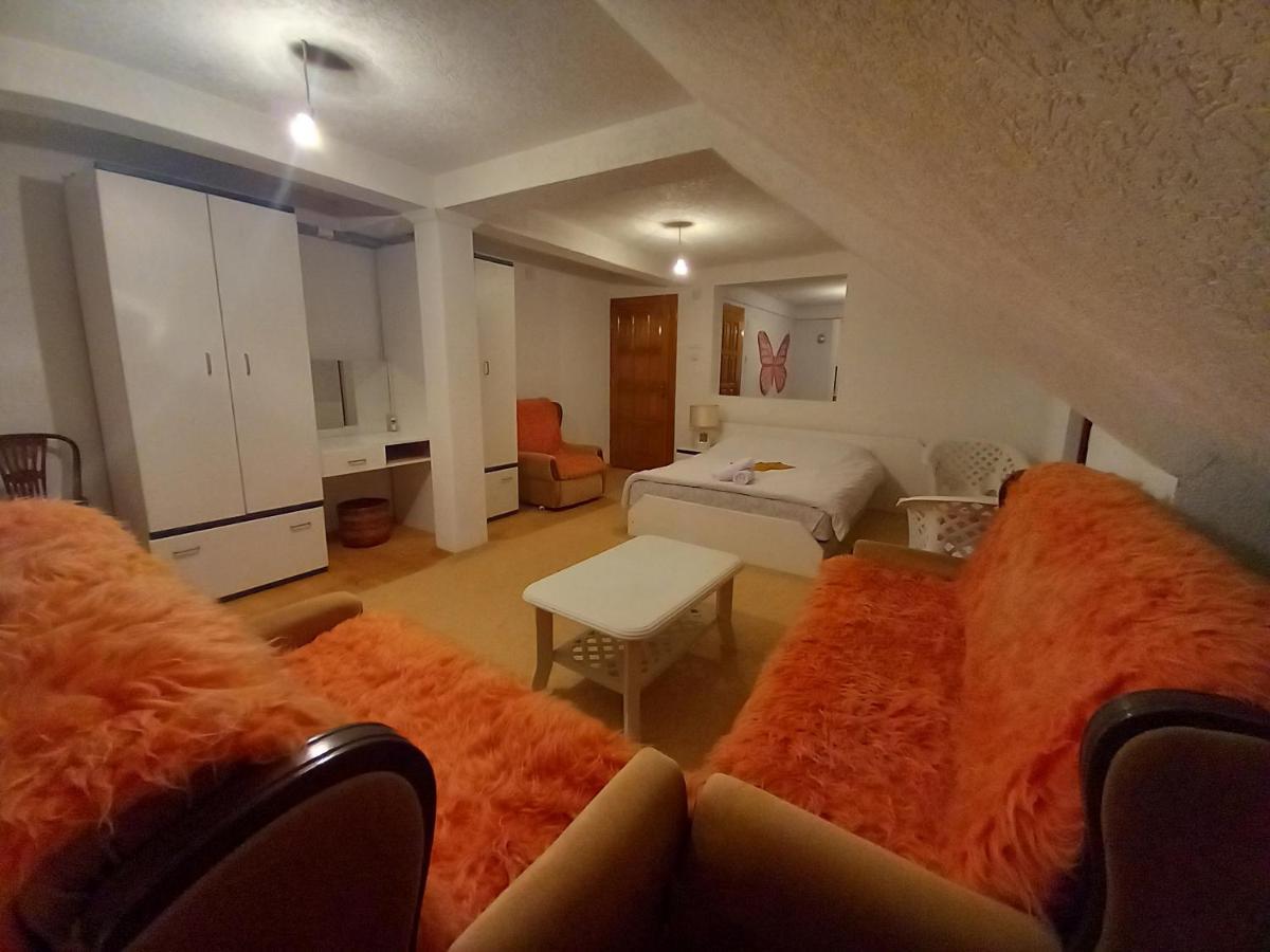 Apartment Little Village プラヴ エクステリア 写真