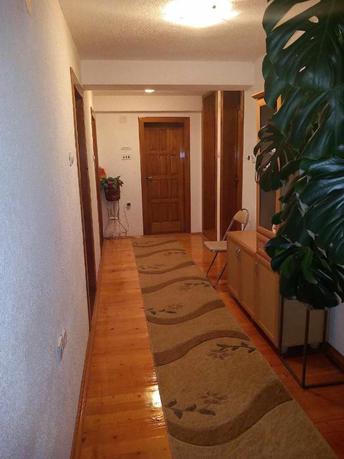 Apartment Little Village プラヴ エクステリア 写真